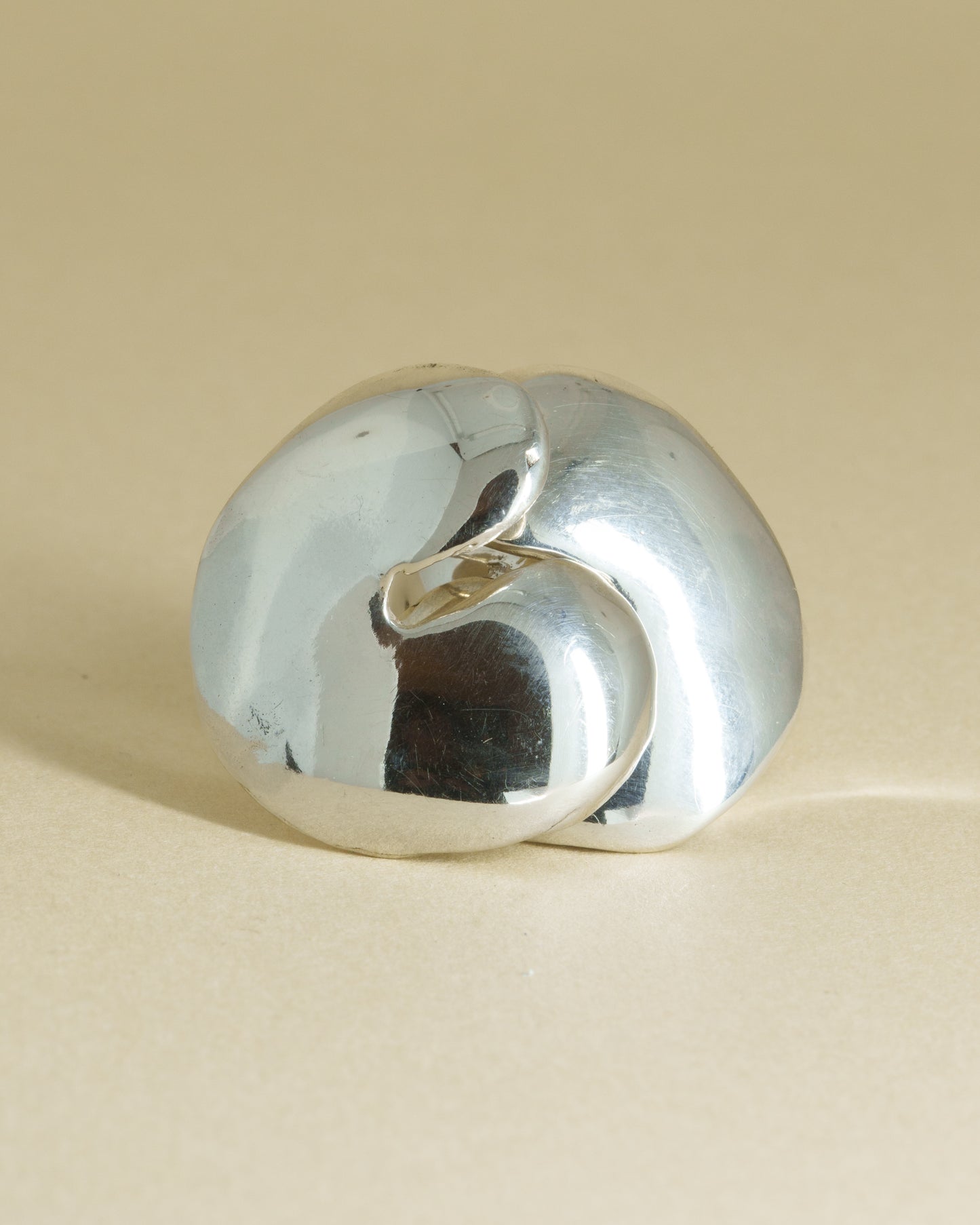 Timbó Earrings