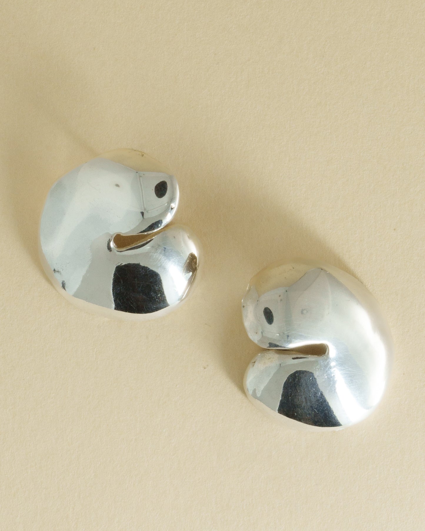 Timbó Earrings